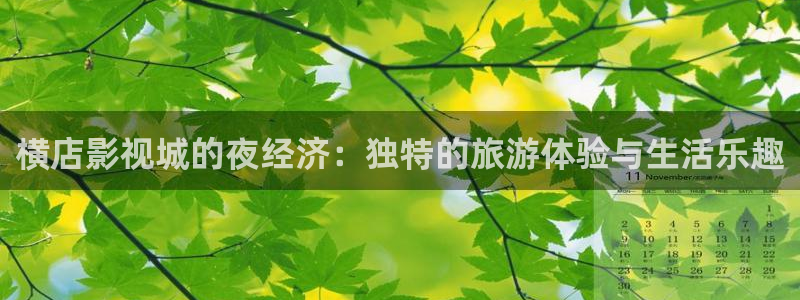 六安紅葉影城電影：橫店影視城的夜經濟：獨特的旅游體驗與生活樂趣