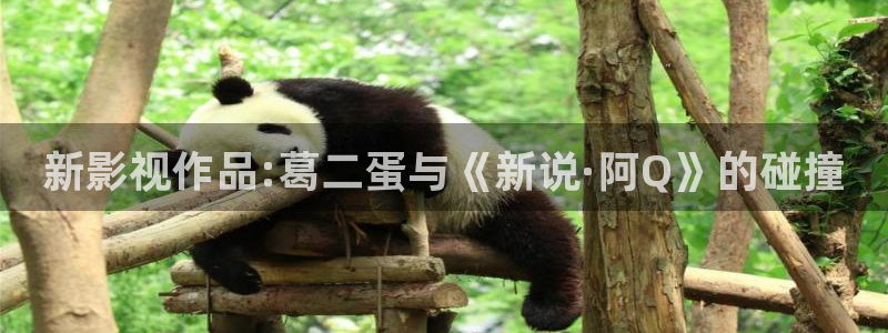 六安紅葉電影院今日影訊：新影視作品:葛二蛋與《新說·阿Q》的碰撞