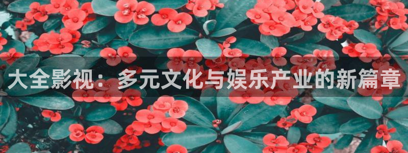 六安紅葉影城今日影訊：大全影視：多元文化與娛樂(lè)產(chǎn)業(yè)的新篇章