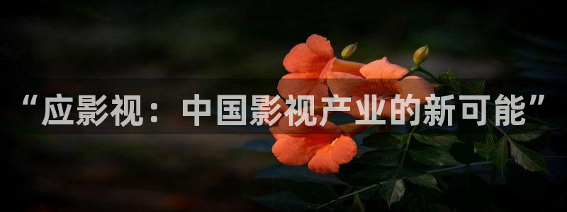 紅葉電影：“應影視：中國影視產業的新可能”