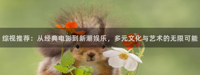 紅葉影視app官方下載：綜視推薦：從經典電影到新潮娛樂，多元文化與藝術的無限可能