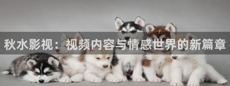紅葉影城電影：秋水影視：視頻內容與情感世界的新篇章
