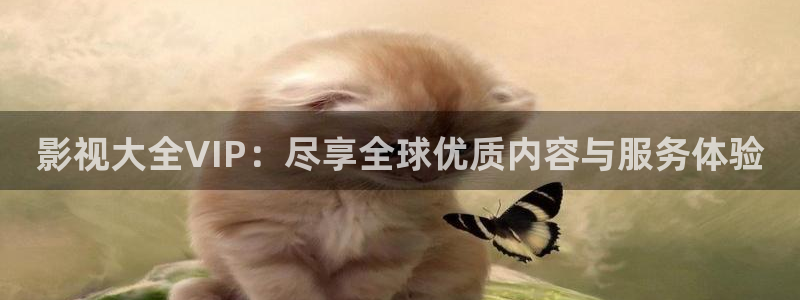 六安紅葉影城電影：影視大全VIP：盡享全球優質內容與服務體驗